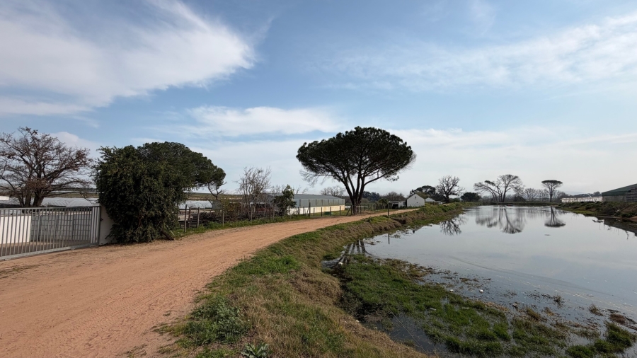To Let 3 Bedroom Property for Rent in Stellenbosch Farms Western Cape